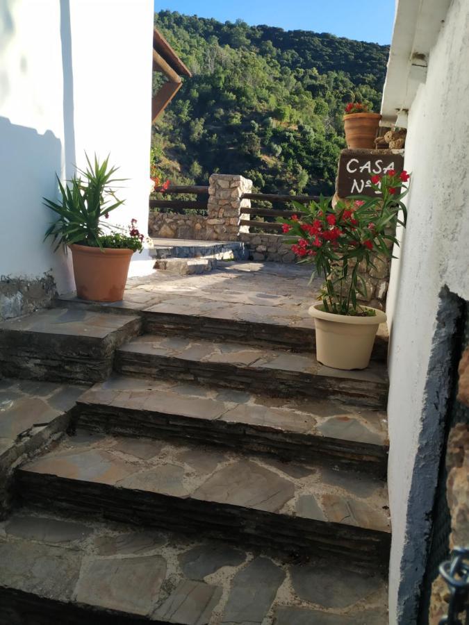 Cortijo La Solana Konuk evi Guejar Sierra Dış mekan fotoğraf