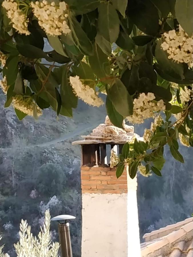 Cortijo La Solana Konuk evi Guejar Sierra Dış mekan fotoğraf