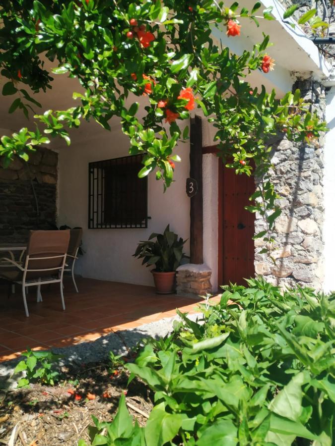 Cortijo La Solana Konuk evi Guejar Sierra Dış mekan fotoğraf