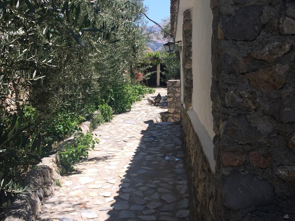 Cortijo La Solana Konuk evi Guejar Sierra Dış mekan fotoğraf